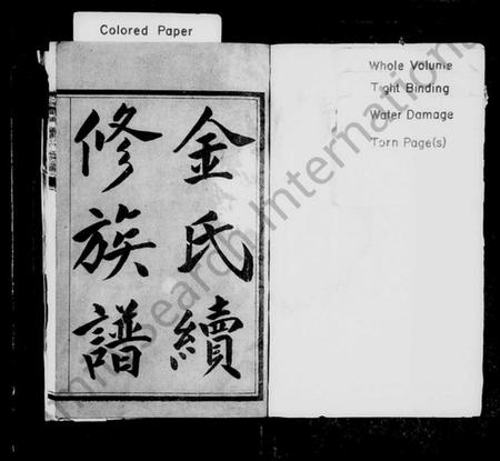 湖南金氏族谱-金氏续修族谱 [6卷,首2卷].pdf电子版插图2