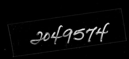 浙江董氏族谱-会稽旗收岭董氏族谱 [2卷].pdf电子版