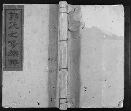 江西郭氏族谱-永兴长塘郭氏重修族谱.pdf电子版插图 江西郭氏族谱-永兴长塘郭氏重修族谱.pdf电子版插图