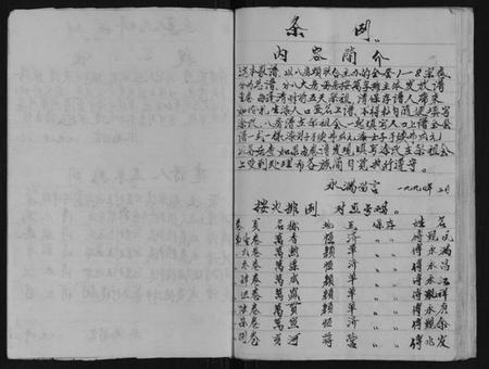 江苏傅氏族谱-第九宗卷傅族家谱.pdf电子版插图2