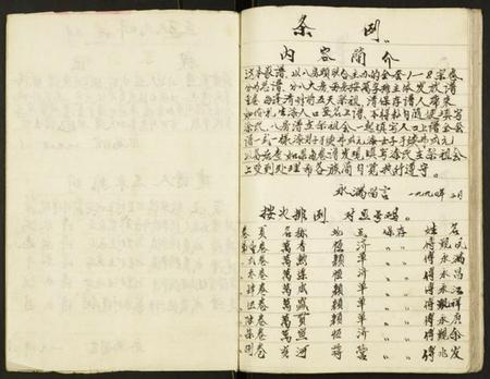 江苏傅氏族谱-第玖宗卷傅族家谱.pdf电子版插图3