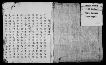 湖南李氏族谱-星沙李氏支谱 [1卷].pdf电子版插图2