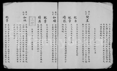 湖南李氏族谱-星沙李氏支谱 [1卷].pdf电子版插图5