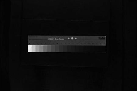 浙江朱氏族谱-朱氏宗谱 [不分卷].pdf电子版