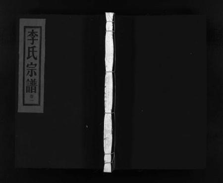 浙江李氏族谱-李氏宗谱 [3卷].pdf电子版插图1