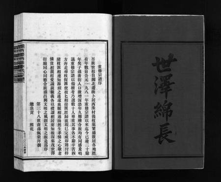 浙江李氏族谱-李氏宗谱 [3卷].pdf电子版插图3