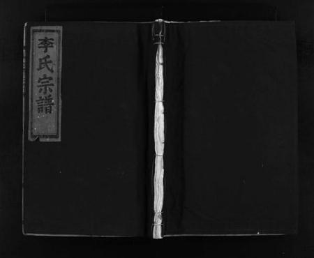 浙江李氏族谱-李氏宗谱 [不分卷].pdf电子版插图1