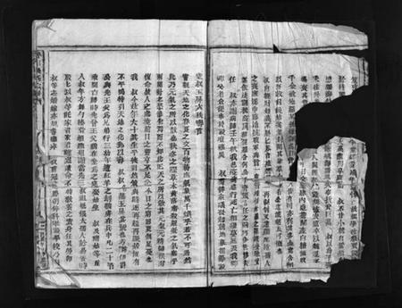 浙江吴氏族谱-杏川吴氏宗谱 [不分卷].pdf电子版插图2