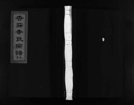 浙江季氏族谱-杏庄季氏宗谱 [2卷].pdf电子版插图1