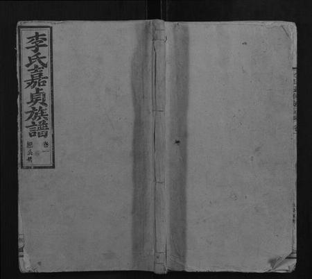 湖南李氏族谱-李氏五修族谱.pdf电子版