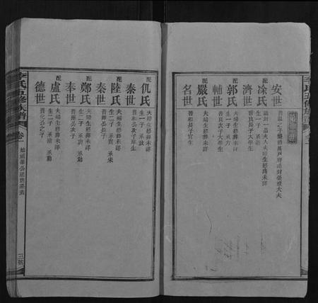 湖南李氏族谱-李氏五修族谱.pdf电子版插图3