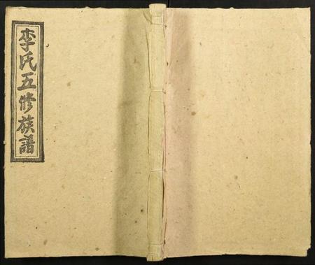 湖南李氏族谱-李氏五修族谱.pdf电子版