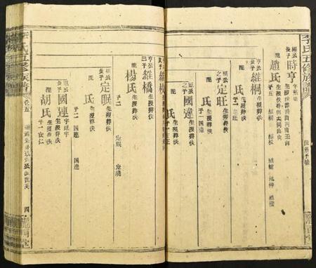 湖南李氏族谱-李氏五修族谱.pdf电子版插图2