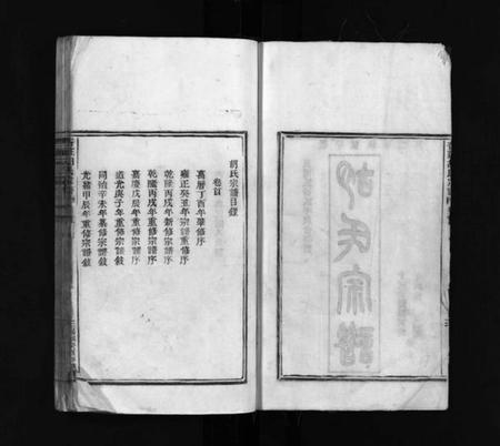 浙江胡氏族谱-杏庄胡氏宗谱 [5卷,及卷首].pdf电子版插图3