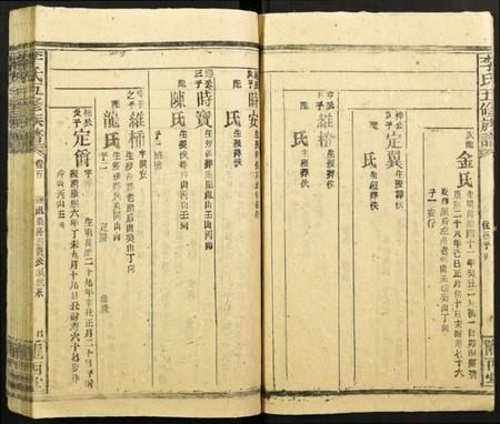 湖南李氏族谱-李氏五修族谱.pdf电子版插图5