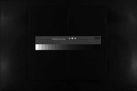 浙江胡氏族谱-杏庄胡氏宗谱 [残卷].pdf电子版