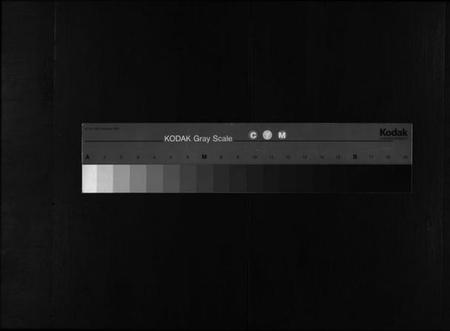 浙江杜氏族谱-杜氏宗谱 [残卷].pdf电子版