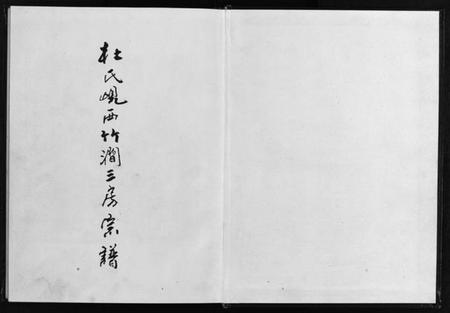 浙江杜氏族谱-杜氏岘西竹涧三房宗谱 [4卷].pdf电子版插图2