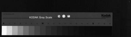 浙江陈氏族谱-杜溪陈氏宗谱 [24卷,首1卷].pdf电子版