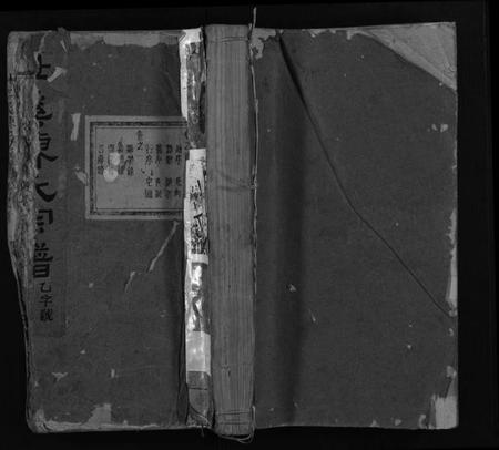 浙江陈氏族谱-杜溪陈氏宗谱 [24卷,首1卷].pdf电子版插图1