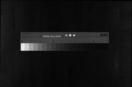 浙江楼氏族谱-杞国楼氏宗谱 [10卷].pdf电子版