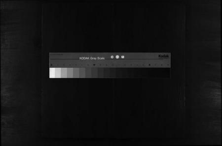 浙江胡氏族谱-东南湖胡氏宗谱 [15卷].pdf电子版