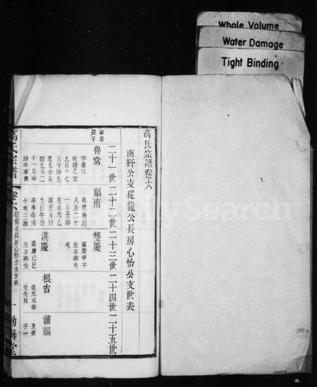 中国高氏族谱-高氏宗谱.pdf电子版插图1