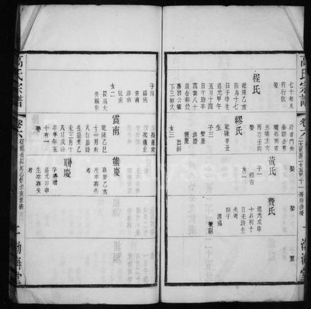 中国高氏族谱-高氏宗谱.pdf电子版插图2