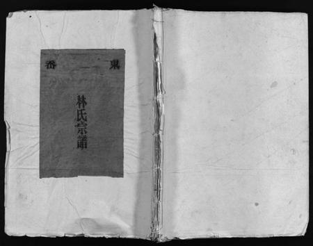 浙江林氏族谱-东岙林氏宗谱 [不分卷].pdf电子版插图1