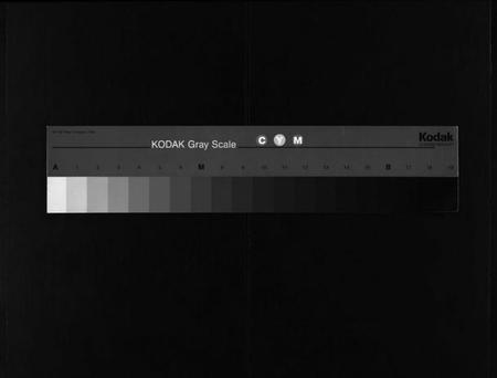 浙江李氏族谱-东李宗谱 [10卷].pdf电子版