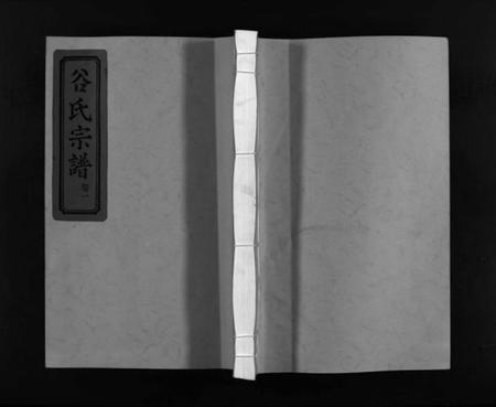 浙江谷氏族谱-东舘谷氏宗谱 [2卷].pdf电子版插图1