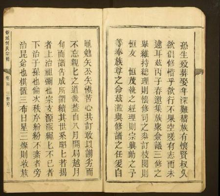 江西何氏族谱-新城何氏宗谱.pdf电子版插图2