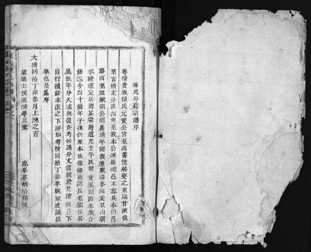 浙江陈氏族谱-东阳陈氏宗谱 [4卷].pdf电子版插图2