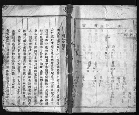 浙江张氏族谱-东阳双塘张氏宗谱 [5卷].pdf电子版插图1