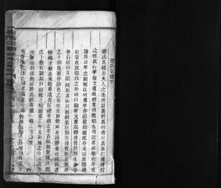 浙江张氏族谱-东阳双塘张氏宗谱 [5卷].pdf电子版插图2