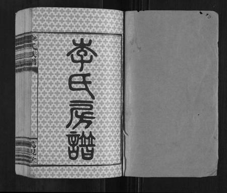湖南李氏族谱-李氏族谱[不分卷].pdf电子版插图1
