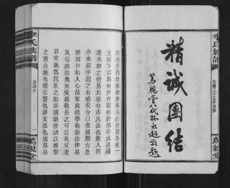 湖南李氏族谱-李氏族谱[不分卷].pdf电子版插图3