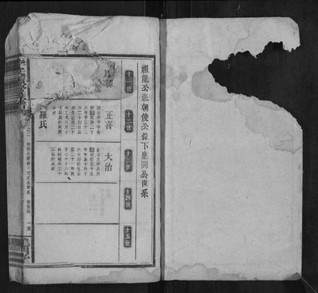 湖南李氏族谱-李氏续修族谱.pdf电子版插图1