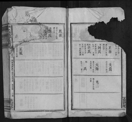 湖南李氏族谱-李氏续修族谱.pdf电子版插图2