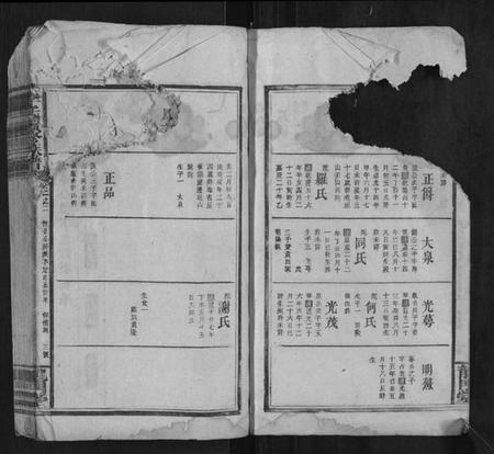 湖南李氏族谱-李氏续修族谱.pdf电子版插图3