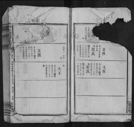 湖南李氏族谱-李氏续修族谱.pdf电子版插图5