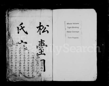 浙江周氏族谱-松台周氏宗谱.pdf电子版插图2