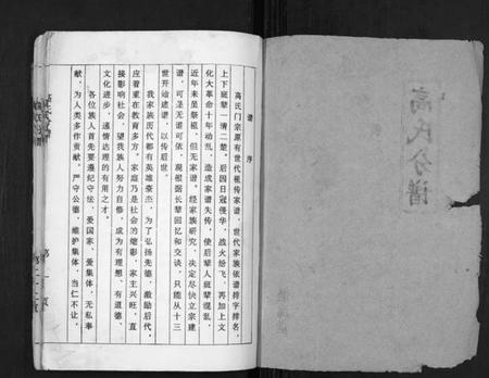 江苏高氏族谱-高氏分谱[不分卷].pdf电子版插图1
