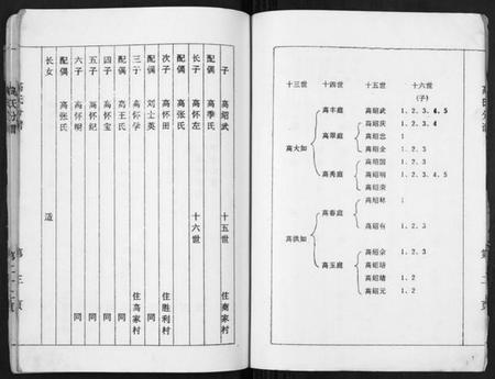 江苏高氏族谱-高氏分谱[不分卷].pdf电子版插图3