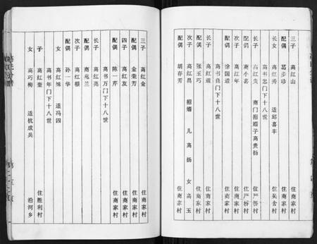 江苏高氏族谱-高氏分谱[不分卷].pdf电子版插图5