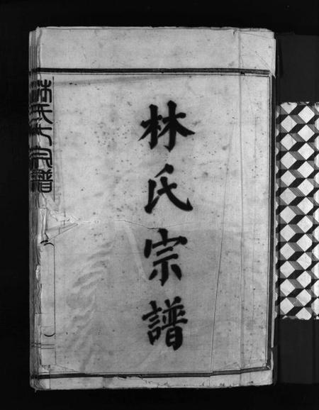 浙江林氏族谱-林氏宗谱 [不分卷].pdf电子版插图3