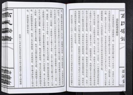 江苏高氏族谱-高氏宗谱.pdf电子版插图4