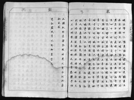 浙江林氏族谱-林氏宗谱 [不分卷].pdf电子版插图4