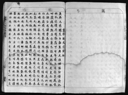浙江林氏族谱-林氏宗谱 [不分卷].pdf电子版插图5