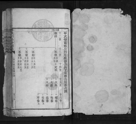 浙江林氏族谱-林氏朋公分谱传.pdf电子版插图1